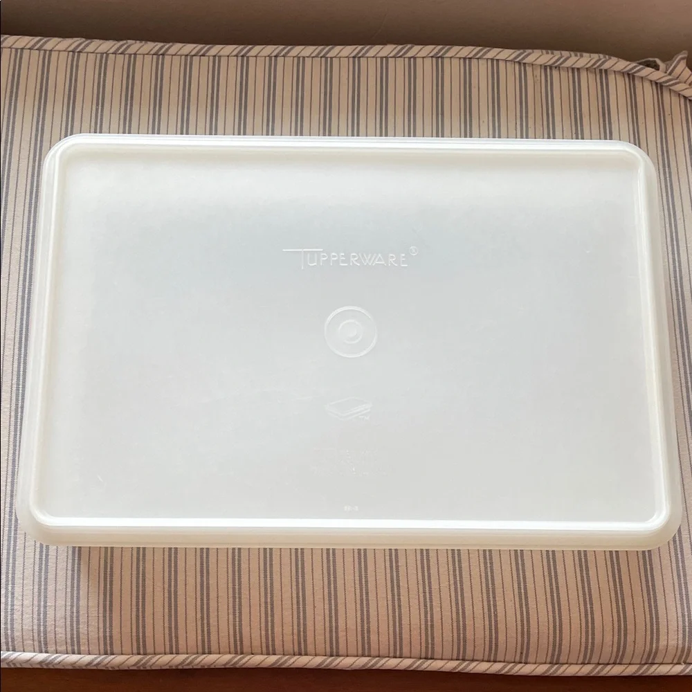 VTG Tupperware Cold Cut Keeper #290 Rectangular 13x9” w/Lid #291 White